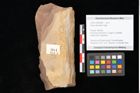 Foto (Objekt + Etikett) von Fagus feroniae Unger (NHMW-GEO-2024-0188-0984)